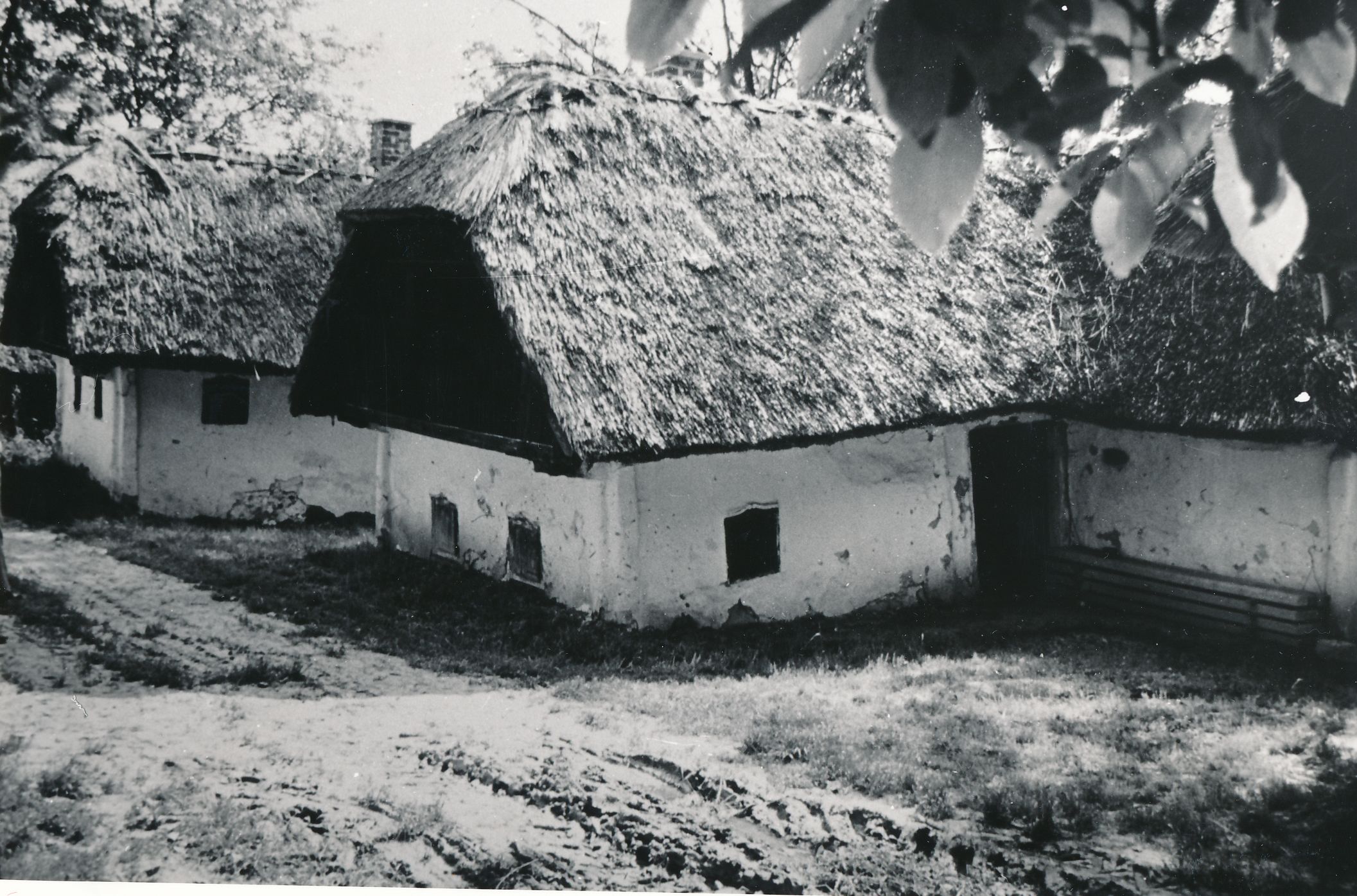 eika image